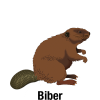 Biber-mit-Text_Vektor_400