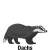 Dachs-mit-Text_Vektor_400