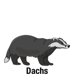 Dachs-mit-Text_Vektor_400
