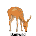 Damwild-mit-Text_Vektor_400