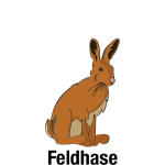 Feldhase-mit-Text_Vektor_400