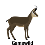 Gamswild-mit-Text_Vektor_400