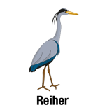 Reiher-mit-Text_Vektor_400