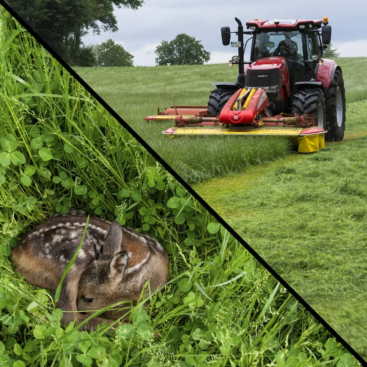 Rehkitz-Retter/Wildschreck KR02(-C) "Akku" – Bild 3