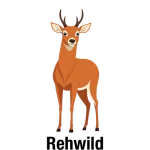 Rehwild